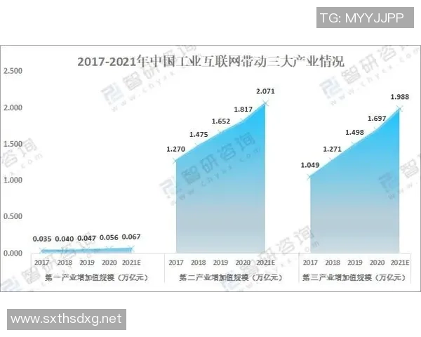 电竞行业辅助职位专业化发展探讨与未来展望